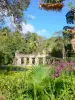 Jardin botanique du Carbet - Habitation Latouche - Ruines de la maison de maître dans un écrin de verdure