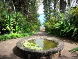 Jardin botanique de la Réunion - Petit bassin d'eau dans un cadre de verdure