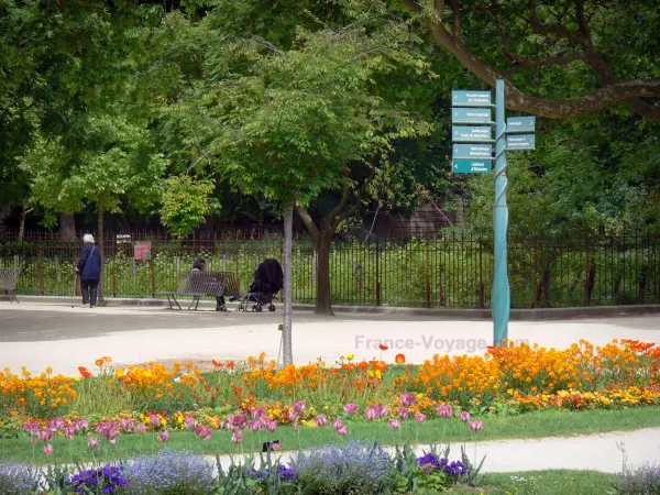 jardín de las Plantas - Macizos de flores en el parque