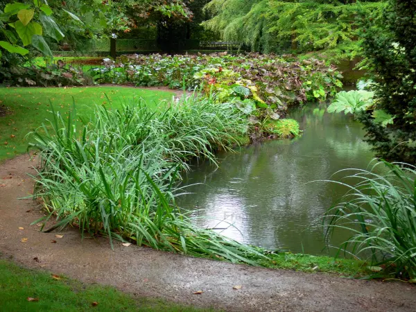 Jardin du Pré Catelan - Rivière, plantes au bord de l'eau, allée et pelouses du parc, à Illiers-Combray