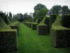 Jardines de la casa solariega de Eyrignac - Francés jardín (jardín de vegetación)