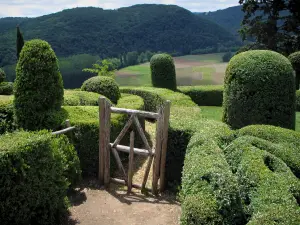 Jardines de Marqueyssac - Árboles de la caja, en el parque con vistas a los campos y colinas cubiertas de bosques