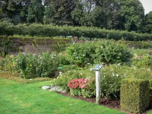 Jardines de Valloires - Jardín de las Rosas y los árboles