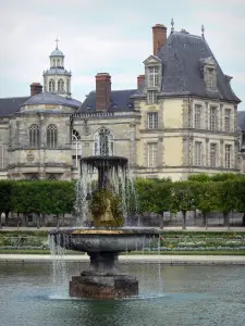 Jardins du château de Fontainebleau - Fontaine et parterres de fleurs du jardin à la française, allée de tilleuls et palais de Fontainebleau dominant l'ensemble