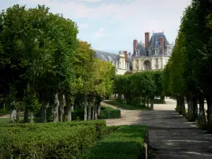 Jardins du château de Fontainebleau - Allées de tilleuls du palais de Fontainebleau