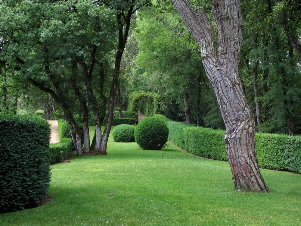 Les jardins de Marqueyssac - Jardins de Marqueyssac: Pelouse, arbustes taillés et arbres du parc