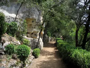 Jardins de Marqueyssac - Promenade des falaises : allée du parc bordée d'arbres