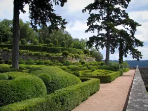 Jardins de Marqueyssac - Allée, buis taillés et arbres