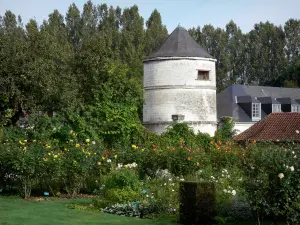 Jardins de Valloires - Colombier de l'abbaye cistercienne de Valloires, roseraie (roses) et arbres