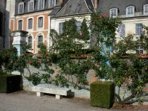 Jardins de Valloires - Rosiers grimpants (roses), abbaye cistercienne de Valloires, banc, arbustes taillés