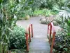 Jardins de Valombreuse - Promenade dans le parc floral