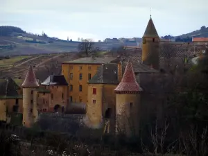 Jarnioux - Château flanqué de tours, dans le Pays des Pierres Dorées