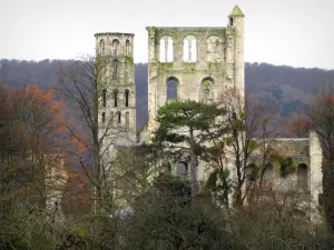 Jumièges abbey - Ruins of the Notre-Dame church, trees and forest in background, in the Norman Seine River Meanders Regional Nature Park
