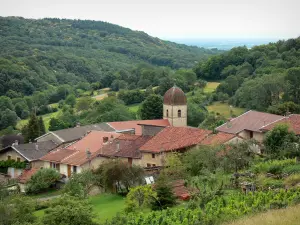 Jura Landschaften - Ortschaft Montagna-le-Reconduit mit ihrer Kirche( Kirchturm) und ihren Häusern, Gärten, Bäume und Wald