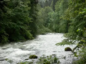 Jura Landschaften - Fluss gesäumt von Bäumen (Wald)