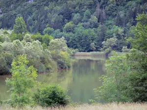 Jura Landschaften - Wasserfläche umgeben mit Bäumen; im Regionalen Naturpark des Haut-Jura