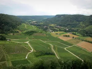 Jura Landschaften - Weinberge (Jura Weinbau), Häuser und Wald