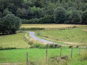 Jura Landschaften - Strasse gesäumt von Weiden und Bäume