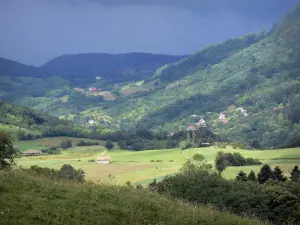 Jura Landschaften - Weiden, Felder, Bäume, Häuser und Wald
