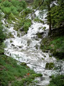 Jura Landschaften - Bach
