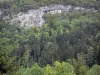 Jura Landschaften - Wald (Bäume) und Felswand
