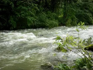 Jura Landschaften - Fluss, Bäume am Wasserrand