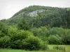 Jura Landschaften - Büsche, Bäume, Tannen (Wald) und Felswand