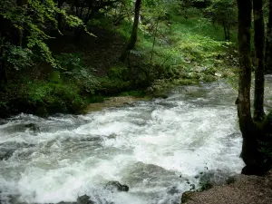 Jura Landschaften - Fluss und Bäume