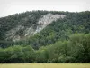 Jura Landschaften - Feld, Bäume (Wald) und Felswand