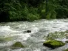 Jura Landschaften - Fluss, Felsen und Bäume