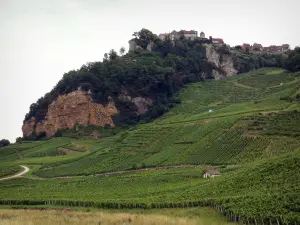 Jura vineyards - Village of Château-Chalon perched on its rocky mountain spur and overhanging vineyards