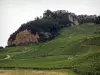 Jura Weinberge - Dorf Château-Chalon hoch oben auf seinem Felsvorsprung und überragend den Weinanbau