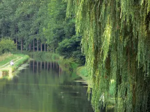 Kanaal van Ourcq - Treurwilg op de voorgrond, kanaal, visser, jaagpad, en bomen aan de rand van het water