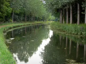 Kanaal van Ourcq - De met bomen omzoomde kanaal