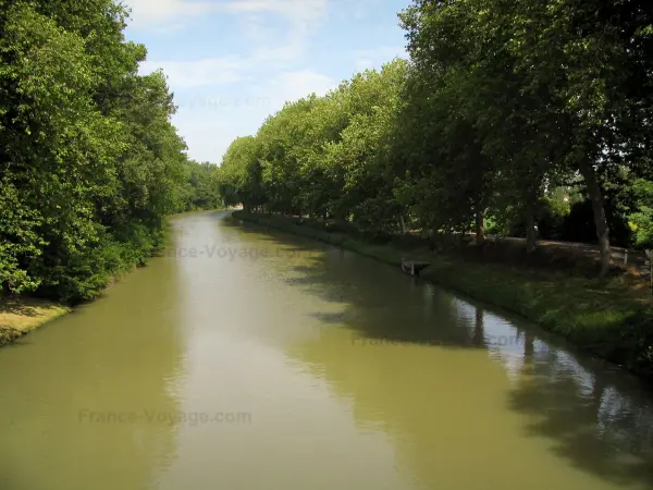 Kanal Midi - Kanal, gesäumt mit Bäumen