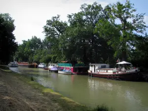 Kanal Midi - Ufer, Kanal mit Frachtkähnen und festgebundenen Booten, Bäume
