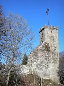 Kartuizerklooster van Bonnefoy - Vierkante toren van het oude klooster