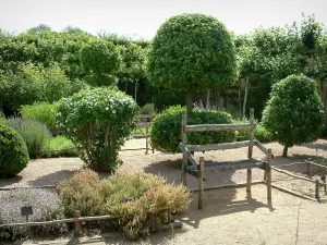 Kasteel van Ainay-le-Vieil - Chartreuse van Montreuils: tuin met planten en struiken