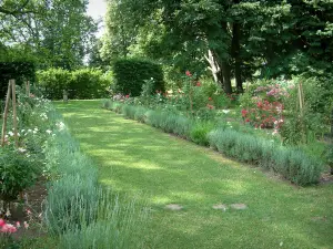 Kasteel van Ainay-le-Vieil - Tuin: Rose Garden en laanbomen