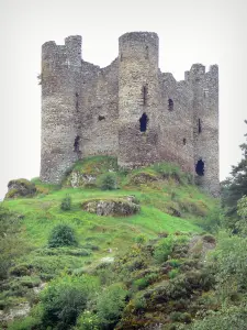 Kasteel van Alleuze - Ruïnes van het kasteel