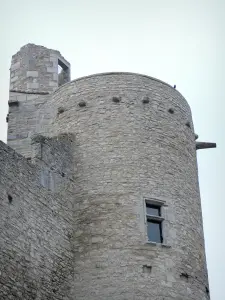 Kasteel van Billy - Tour de middeleeuwse burcht (burcht)