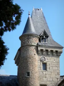 Kasteel van Busset - Detail van het kasteel