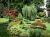 Kasteel van Courances - Japanse planten in de tuin