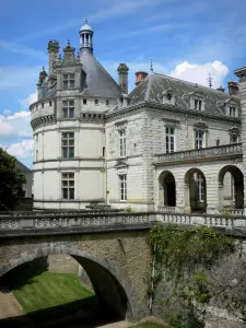 Kasteel van Lude - Droge gracht van het kasteel