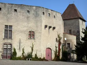 Kasteel van la Roche - Gevel van het kasteel, de stad van Chaptuzat