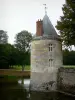 Kasteel van Sully-sur-Loire - Tower, gracht (de Sange) en park (bomen)