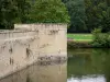 Kasteel van Sully-sur-Loire - Wallen, grachten (de Sange) en park (bomen)