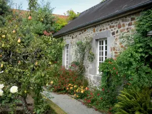 Kasteeltje van Saussey - Tuin van het landgoed: peer (fruit boom), rozen (rozen) en wijngaarden aan de voorzijde