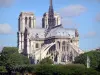 Kathedraal Notre-Dame de Paris - Uitzicht op de apsis van de gotische kathedraal