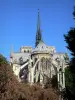 Kathedraal Notre-Dame de Paris - Het bed van de gotische kathedraal